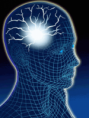 /album/fotogaleria-imagenes/brain-png2/